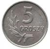 5 groszy