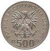 500 złotych - bramkarz-hokeista