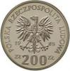 200 złotych - Pomnik - Szpital Centrum Zdrowia Matki Polki (Ni)