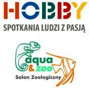 hobby