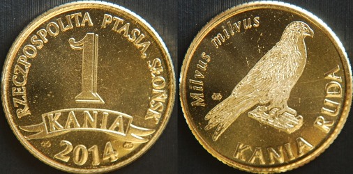 kania_2