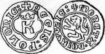 kazimierz_wielki_14