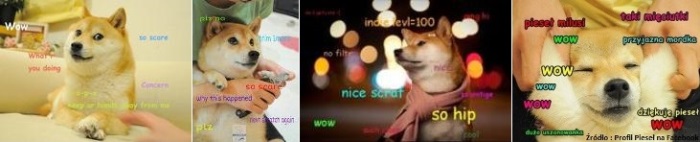 dogecoin_4