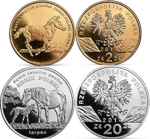 roztocze_6