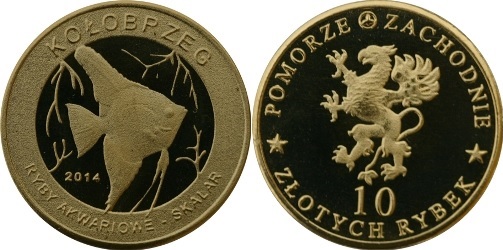 koszalin_45