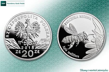 pszczola_002