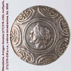 bodzek_seleucydzi